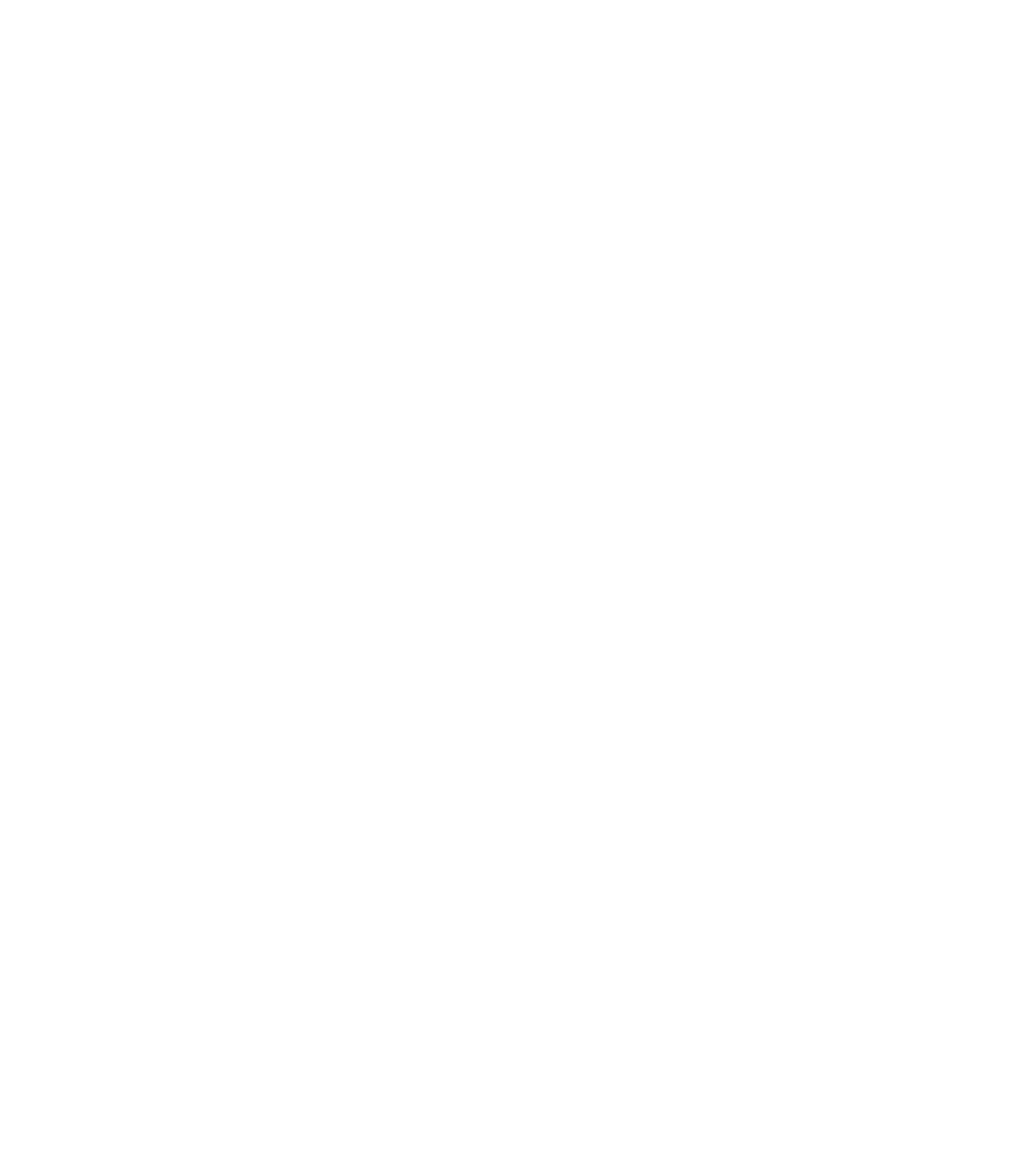 Nordic Consulting